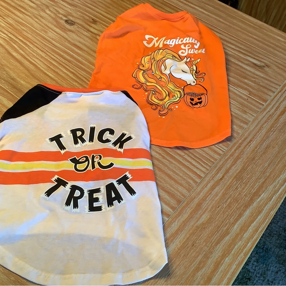Magically Sweet Orange dog Halloween  Tops szS SzM